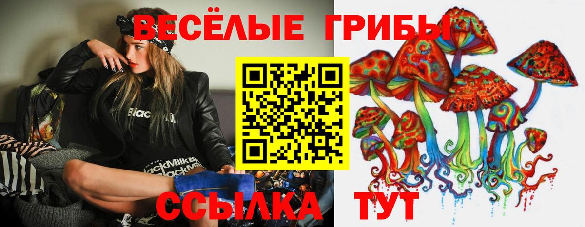 Галлюциногенные грибы Magic Shrooms Сальск