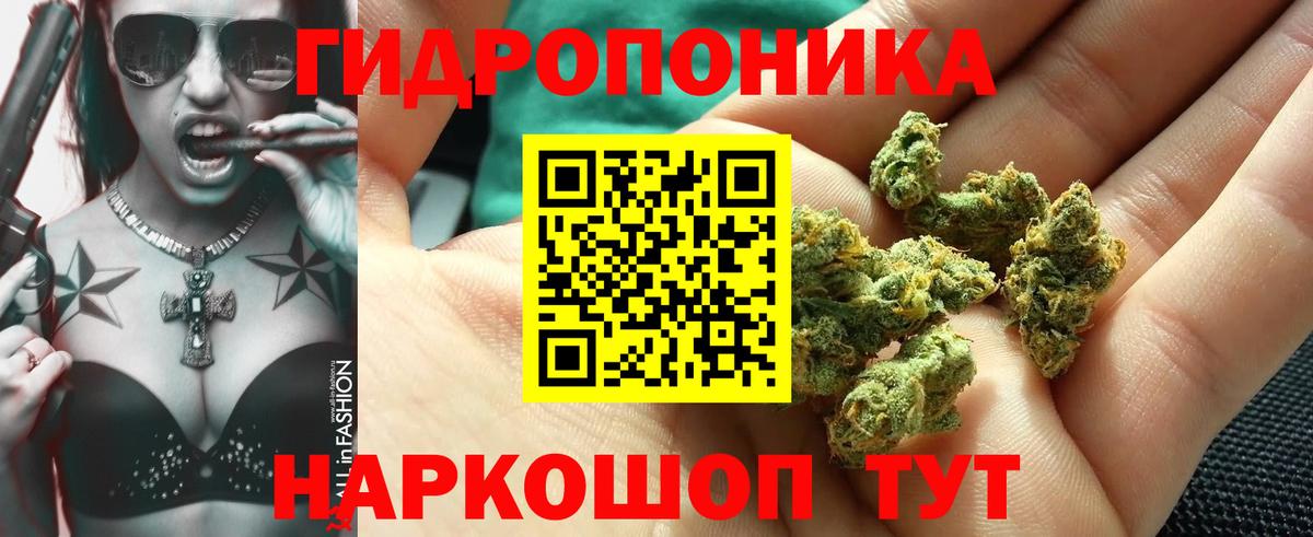 Марихуана индика  Бошки Шишки LSD WEED  Вход с VPN  Сальск 